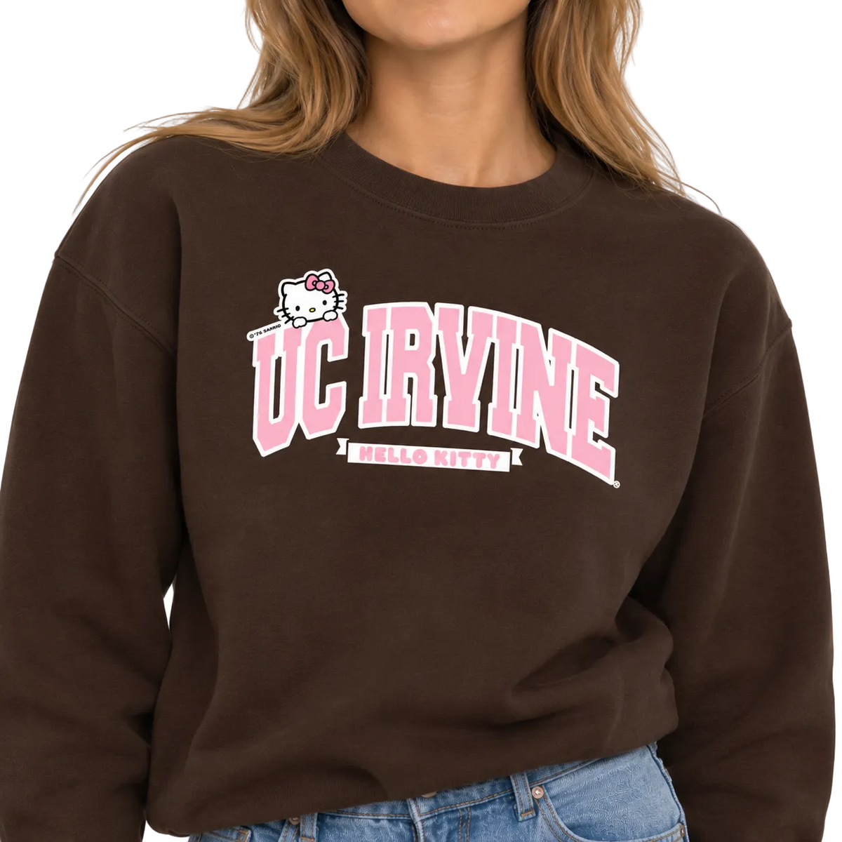 Hide Behind Crewneck Brown